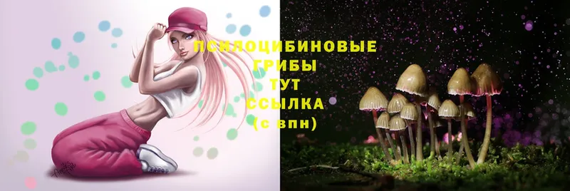 Псилоцибиновые грибы Magic Shrooms  Дудинка 